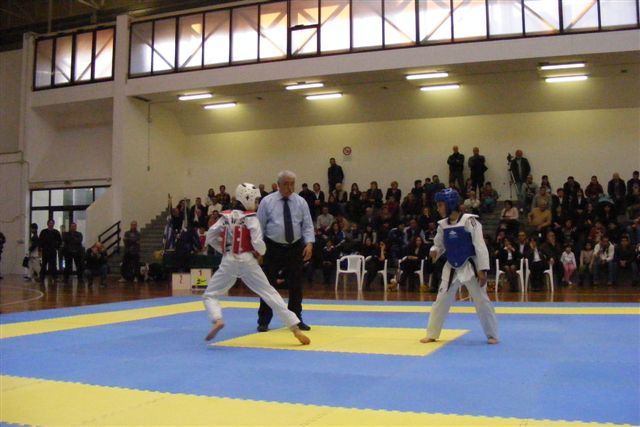 Taekwondo